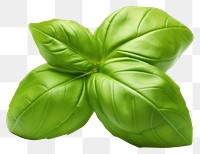 PNG Fresh green organic basil a leaf plant herbs food. AI generated Image by rawpixel.