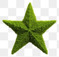 PNG  Star shape green plant leaf. AI generated Image by rawpixel.