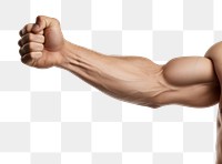 PNG  Man flexing arm hand white background bodybuilding. 