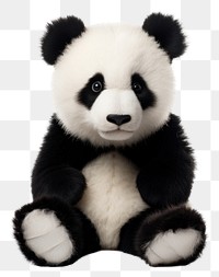 PNG Panda teddy mammal animal white. 