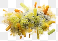 PNG Rod Bacteria pill food white background. AI generated Image by rawpixel.