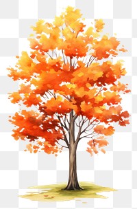 PNG  Autumn tree plant maple leaf. AI generated Image by rawpixel.