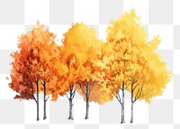 PNG Autumn trees outdoors nature plant. AI generated Image by rawpixel.