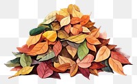 PNG  Pile of autumn leaves plant leaf white background. AI generated Image by rawpixel.