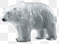 PNG  Plastic wrapping over a polarbear wildlife mammal animal.