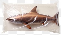 PNG  Plastic wrapping over a shark animal fish underwater.