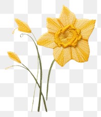PNG Embroidery of daffodil flower plant inflorescence.