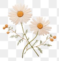 PNG Embroidery of daisy pattern flower stitch.