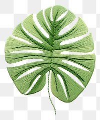 PNG Embroidery of monstera pattern stitch plant.