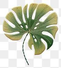 PNG Embroidery of monstera pattern plant leaf.