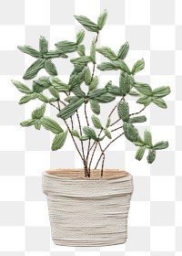 PNG Embroidery of potted plant leaf vase houseplant.