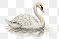 PNG Embroidery of swan animal white bird.