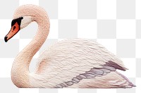 PNG Embroidery of swan drawing animal sketch.