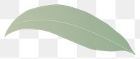 PNG  Banana leaf nature plant white background. AI generated Image by rawpixel.