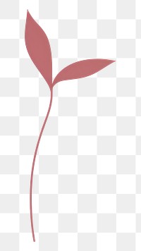 PNG  Plant leaf white background sprout. AI generated Image by rawpixel.