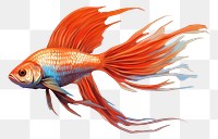 PNG  Fish goldfish animal white background. AI generated Image by rawpixel.