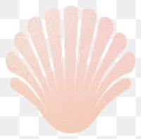 PNG Shell white background invertebrate seashell. AI generated Image by rawpixel.