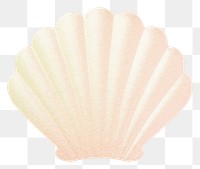 PNG  Shell clam white background invertebrate. AI generated Image by rawpixel.