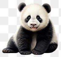 PNG  Happy panda wildlife mammal animal.