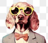 PNG  Collage Retro dreamy dog portrait glasses animal.