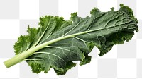 PNG Kale vegetable plant food.