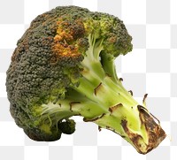PNG  Broccoli with burnt vegetable plant food.
