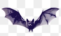 PNG  Bat bat wildlife cartoon.