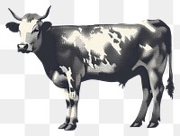 PNG  Cow cow livestock cartoon.