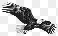PNG  Eagle vulture cartoon animal.
