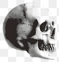 PNG  Skull white background anthropology monochrome.