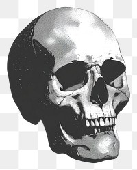 PNG  Skull cartoon monochrome sketch.