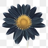 PNG  Sunflower sunflower pattern pollen.