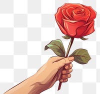 PNG Human hand holding Rose rose cartoon flower.