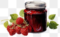 PNG Jam on a white background with a jar raspberry fruit plant.