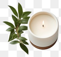 PNG  Candle plant white background lighting.