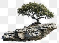 PNG  Rock heavy element Tree shape tree bonsai plant.