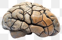 PNG  Rock heavy element Brain shape brain white background ammunition.
