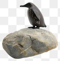 PNG  Rock heavy element Penguin shape animal bird white background.