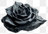 PNG  Rock heavy element Rose shape rose flower plant.