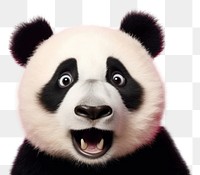 PNG  Panda animal mammal bear. AI generated Image by rawpixel.