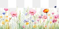 PNG Meadow in summer flower backgrounds outdoors.