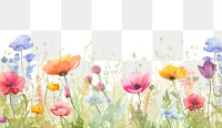 PNG Meadow in summer flower backgrounds outdoors.