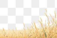 PNG  Blue sky and wheat field backgrounds outdoors horizon.