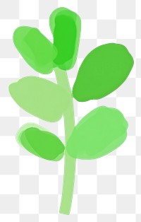PNG Green plant herbs leaf white background. AI generated Image by rawpixel.