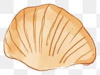PNG Shell clam white background invertebrate. AI generated Image by rawpixel.