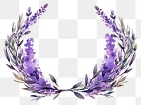 PNG Lavender flowers lavender purple plant.