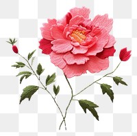 PNG  Cute minimal Peony in embroidery style blossom flower petal.
