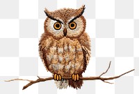PNG  Cute Owl in embroidery style owl animal bird.