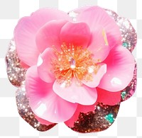 PNG  Flower brooch petal plant. AI generated Image by rawpixel.