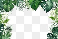 PNG Tropical leaves green backgrounds nature.
